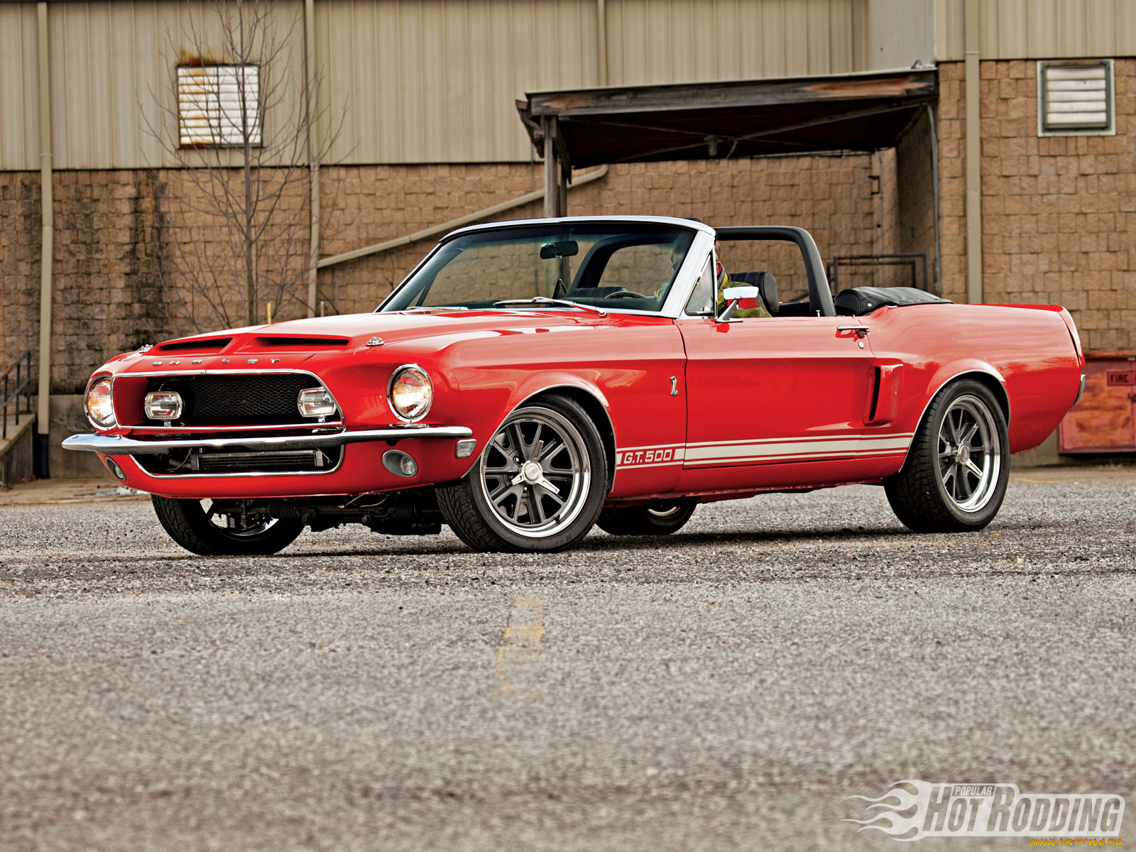 1968, shelby, gt500, , mustang
